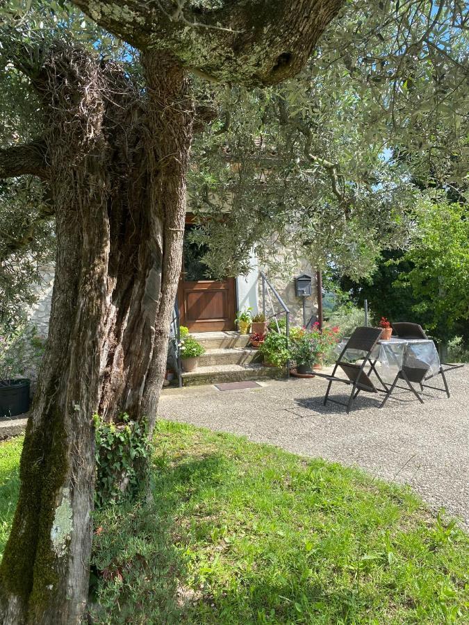 La Casetta Di Vacone Eksteriør bilde